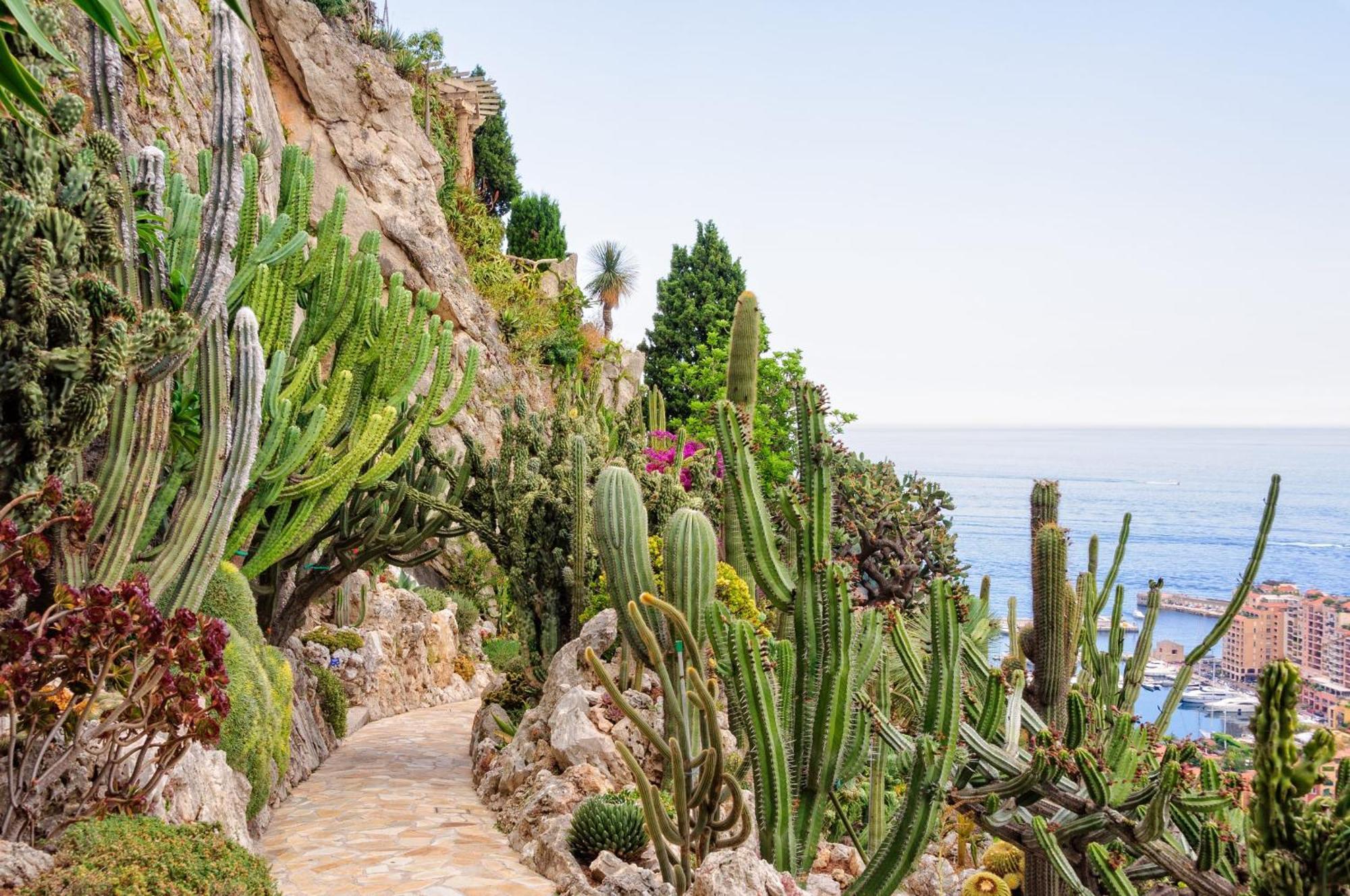 Sejour En Pleine Nature, Vue Imprenable, Jacuzzi Contes  Dış mekan fotoğraf
